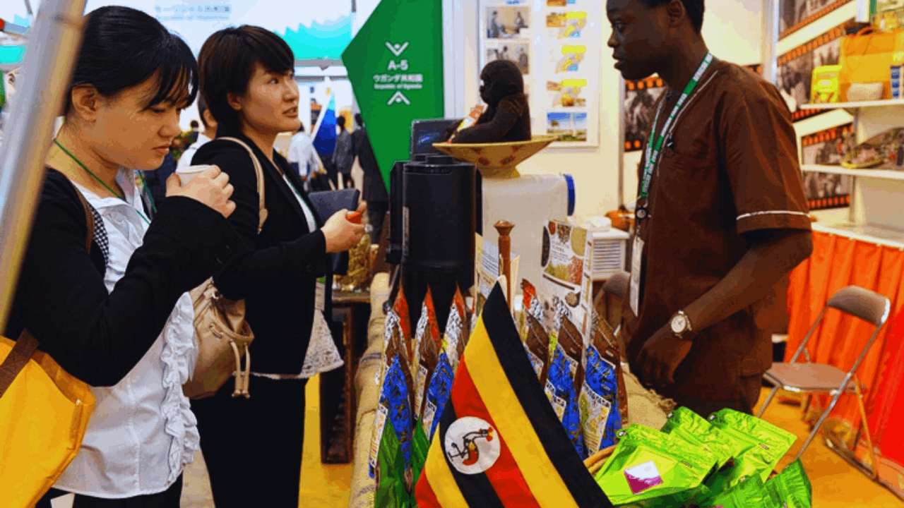 Le Japon recrute : postes en emballage et en usine pour les travailleurs francophones